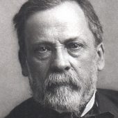 Scientific Identity, Portrait of Louis Pasteur