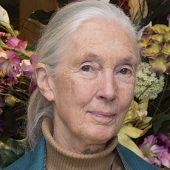 old-scholar-Jane_Goodall_2015-public-domain-wiki